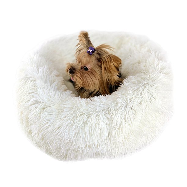 Small Dog Bed Small Dog Bed